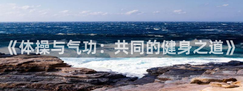 b体育必一运动官网
