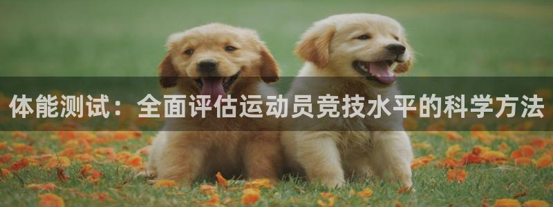 b体育必一运动官网