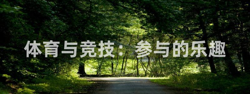 b体育必一运动官网