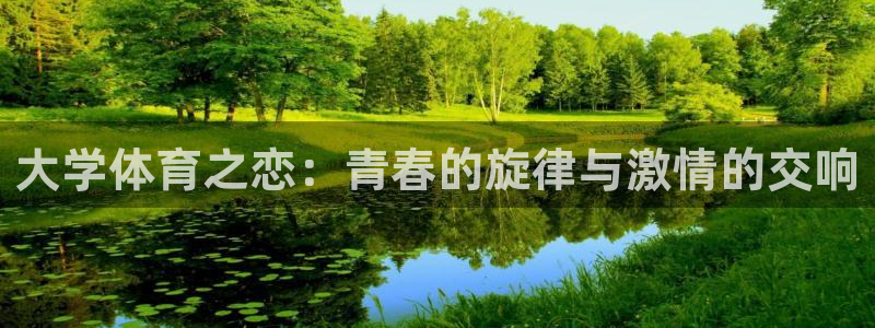 必一运动体育官网