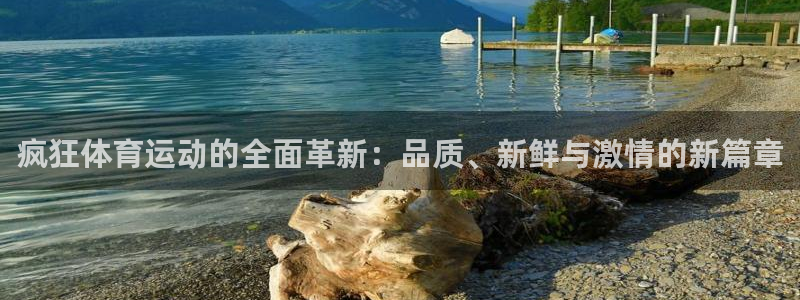 b体育必一运动官网